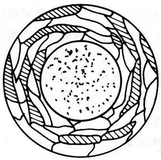 11.png